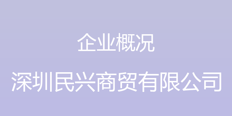 企业概况 - 深圳民兴商贸有限公司